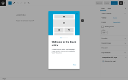 Page screenshot: Add New Page &lsaquo; Test site &mdash; WordPress