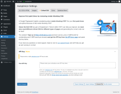 Page screenshot: Settings &rarr; Autoptimize &rarr;  Critical CSS