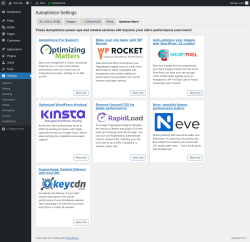 Page screenshot: Settings &rarr; Autoptimize &rarr; Optimize More!