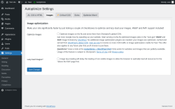 Page screenshot: Settings &rarr; Autoptimize &rarr; Images