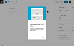 Page screenshot: Add New Page &lsaquo; Test site &mdash; WordPress