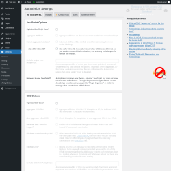 Page screenshot: Settings &rarr; Autoptimize