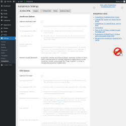 Page screenshot: Settings &rarr; Autoptimize