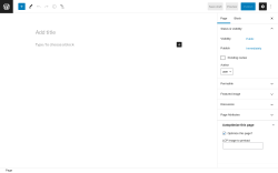 Page screenshot: Add New Page &lsaquo; Test site &mdash; WordPress