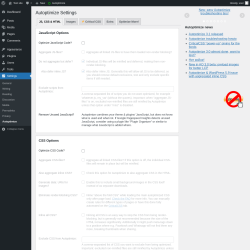 Page screenshot: Settings &rarr; Autoptimize