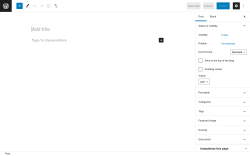 Page screenshot: Add New Post &lsaquo; Test site &mdash; WordPress