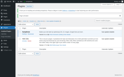 Page screenshot: Plugins &lsaquo; Test site &mdash; WordPress