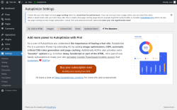 Page screenshot: Settings → Autoptimize →  Pro Boosters