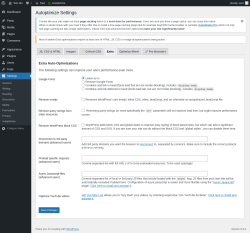 Page screenshot: Settings &rarr; Autoptimize &rarr; Extra