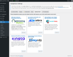 Page screenshot: Settings &rarr; Autoptimize &rarr; Optimize More!