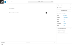 Page screenshot: Add Page &lsaquo; Test site &mdash; WordPress