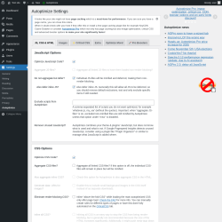 Page screenshot: Settings &rarr; Autoptimize