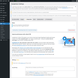 Page screenshot: Settings &rarr; Autoptimize &rarr; ⚡ Critical CSS