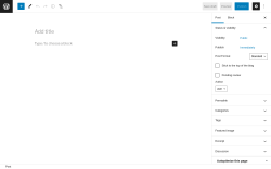 Page screenshot: Add New Post &lsaquo; Test site &mdash; WordPress