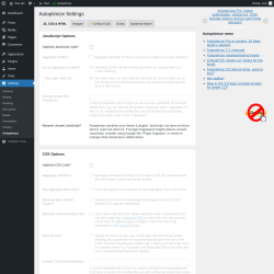 Page screenshot: Settings &rarr; Autoptimize