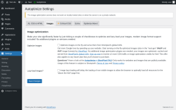 Page screenshot: Settings &rarr; Autoptimize &rarr; Images