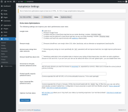 Page screenshot: Settings &rarr; Autoptimize &rarr; Extra