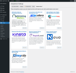 Page screenshot: Settings &rarr; Autoptimize &rarr; Optimize More!