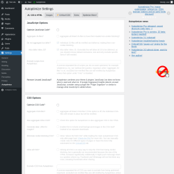Page screenshot: Settings &rarr; Autoptimize