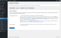 Page screenshot: Settings &rarr; Autoptimize &rarr; Images