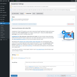 Page screenshot: Settings &rarr; Autoptimize &rarr;  Critical CSS