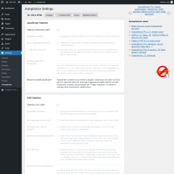 Page screenshot: Settings &rarr; Autoptimize