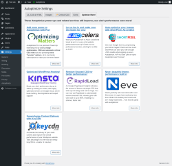 Page screenshot: Settings &rarr; Autoptimize &rarr; Optimize More!