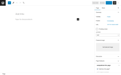 Page screenshot: Add New Page &lsaquo; Test site &mdash; WordPress