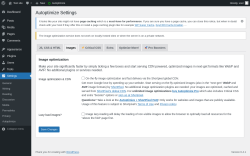 Page screenshot: Settings &rarr; Autoptimize &rarr; Images