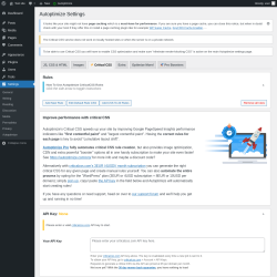 Page screenshot: Settings &rarr; Autoptimize &rarr;  Critical CSS