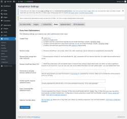 Page screenshot: Settings &rarr; Autoptimize &rarr; Extra