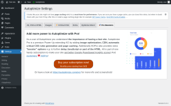 Page screenshot: Settings &rarr; Autoptimize &rarr;  Pro Boosters