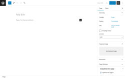 Page screenshot: Add New Page &lsaquo; Test site &mdash; WordPress