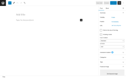 Page screenshot: Add New Post ‹ Test site — WordPress