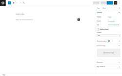 Page screenshot: Add New Page ‹ Test site — WordPress
