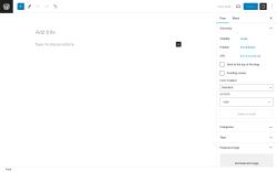 Page screenshot: Add New Post ‹ Test site — WordPress