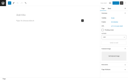 Page screenshot: Add New Page ‹ Test site — WordPress