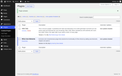Page screenshot: Plugins &lsaquo; Test site &mdash; WordPress
