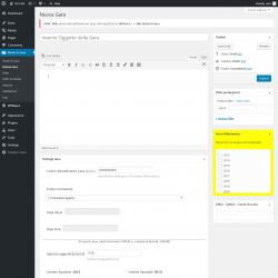 Page screenshot: Bandi di Gara → Nuova voce