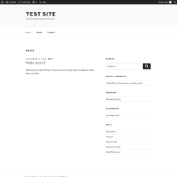Page screenshot: Test site &ndash; Just another WordPress site
