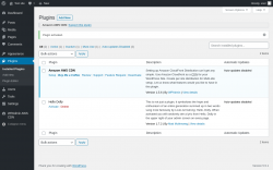 Page screenshot: Plugins &lsaquo; Test site &mdash; WordPress