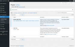 Page screenshot: Plugins &lsaquo; Test site &mdash; WordPress