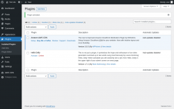 Page screenshot: Plugins &lsaquo; Test site &mdash; WordPress