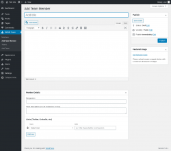 Page screenshot: AWSM Team &rarr; Add New Member