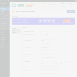 Page screenshot: ChatGPT Assistant → 
                            API Key                        