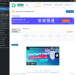 Page screenshot: ChatGPT Assistant → EmbeddingsNew → 
                            Embeddings                        