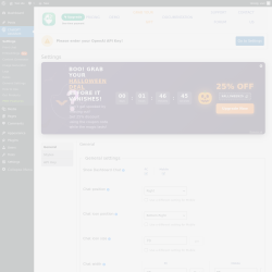 Page screenshot: ChatGPT Assistant → 
                            API Key                        