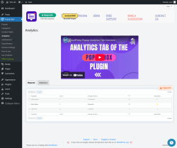 Page screenshot: Popup Box → Analytics