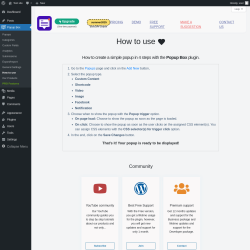 Page screenshot: Popup Box → How to use