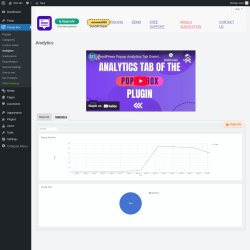 Page screenshot: Popup Box → Analytics → Statistics
